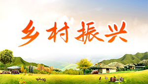 鄉村振興